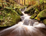 Wyming Brook (2)