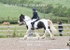 BPP_0261