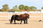 SBM_17654