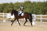 SBM_015079