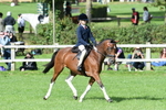 SBM_47142