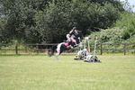 80cm XC Pairs portfolio