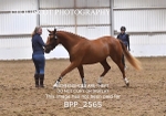 BPP_2565