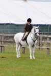 SBM_09538