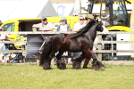 SBM_08538