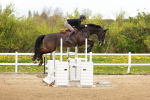 SBM_002781