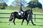 SBM_35284