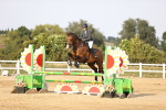 SBM_03994