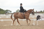 SBM_06321