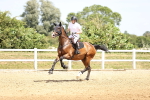SBM_001754