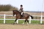 SBM_006949
