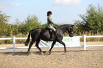 SBM_02200