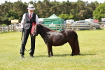 SBM_01923