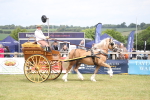 SBM_06975