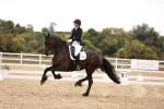 Class 23 - Advanced Medium 6 portfolio