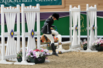 equiscot 3115