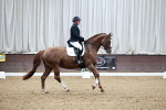 SBM_006690