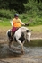 Thetford Endurance 2025 portfolio