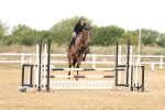 SBM_023491