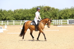 SBM_008525