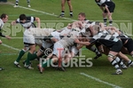 Rugby_Guernsey v Sutton  Epsom-31