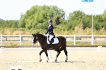 SBM_012629
