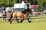 SBM_00866