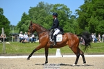 469-WELLFIELDS_LINCOLN-Susie_Berry-DR portfolio