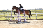 SBM_003394