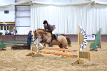SBM_003374