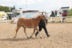 SBM_06883
