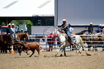 3HRodeo8-11-25_PRCASteer_04313_