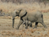 Mom and youngster