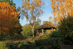Norfolk portfolio