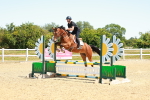 SBM_005930
