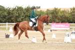 SBM_003401