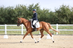 SBM_015336