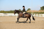 SBM_02246