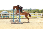 SBM_006634