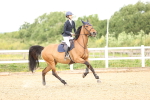 SBM_006404