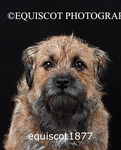 equiscot1877