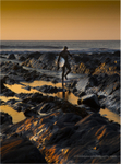 Golden Surfer