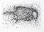 Coaltit with Inappropriate Marks, Compressed Charcoal 30 in x 20in