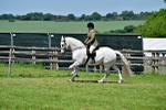SBM_17487