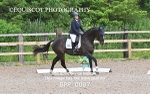 BPP_0007 1