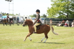 SBM_07694