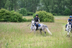 Camera 1 Gallops portfolio