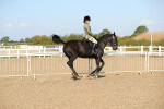 SBM_02227