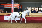 SBM_14652
