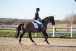 SBM_004461